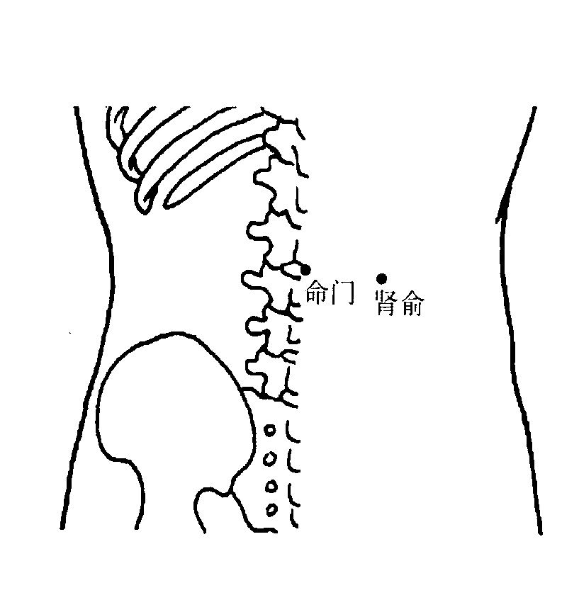 第三十七節(jié) 陽痿